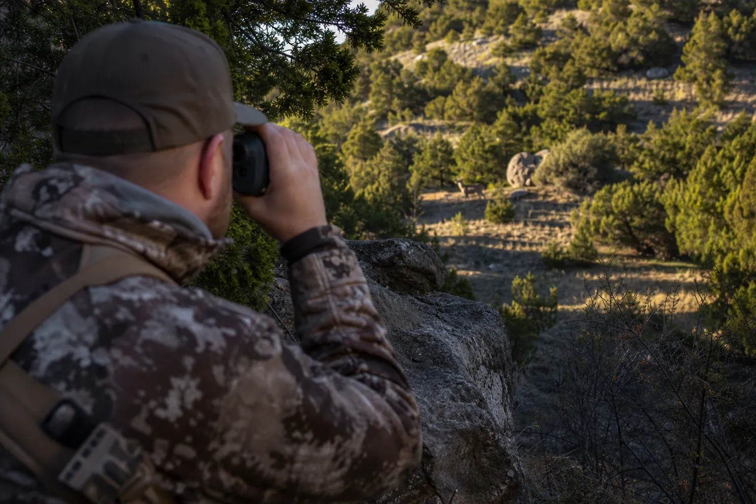 A hunter uses a rangefinder from a shaded overlook with brush and uneven terrain in view.