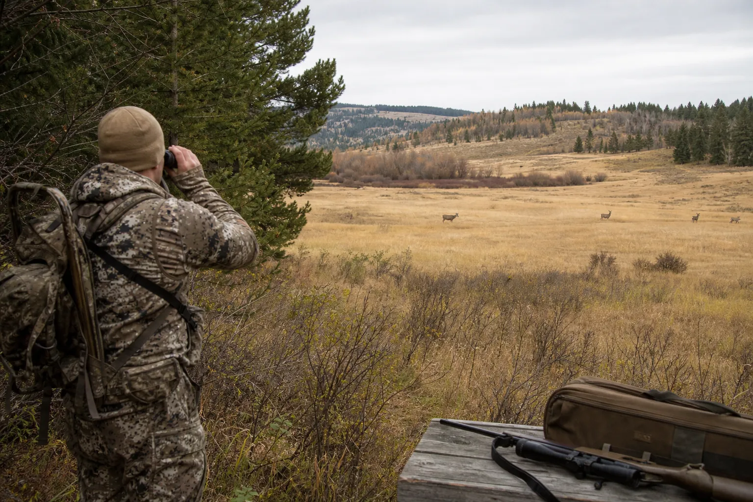 A wide North American landscape shows mixed woodland and open brush where deer habitats can overlap.