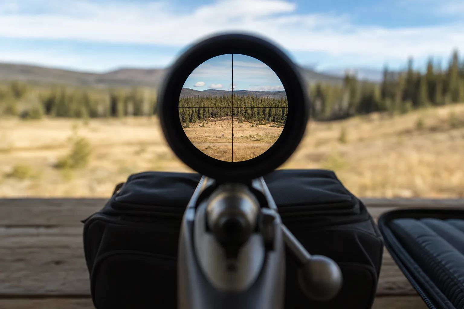 The view through a prism scope shows a clear etched reticle with the range blurred in the background.