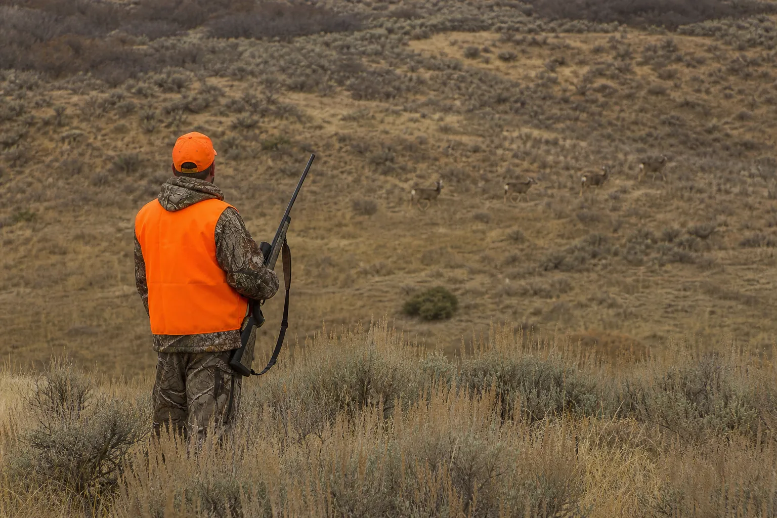 A hunter glassing deer at a distance in open country while carrying a rifle safely.